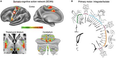 Proceedings of the 11th Annual Deep Brain Stimulation Think Tank: pushing the forefront of neuromodulation with functional network mapping, biomarkers for adaptive DBS, bioethical dilemmas, AI-guided neuromodulation, and translational advancements
